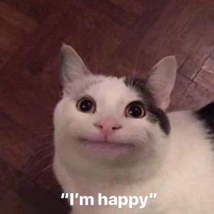 叶凯薇的合成视频
