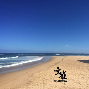 叶凯薇的合成视频
