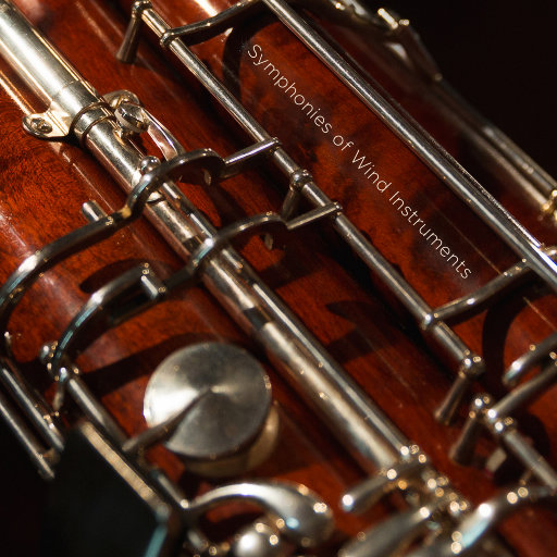 叶凯薇的合成视频
